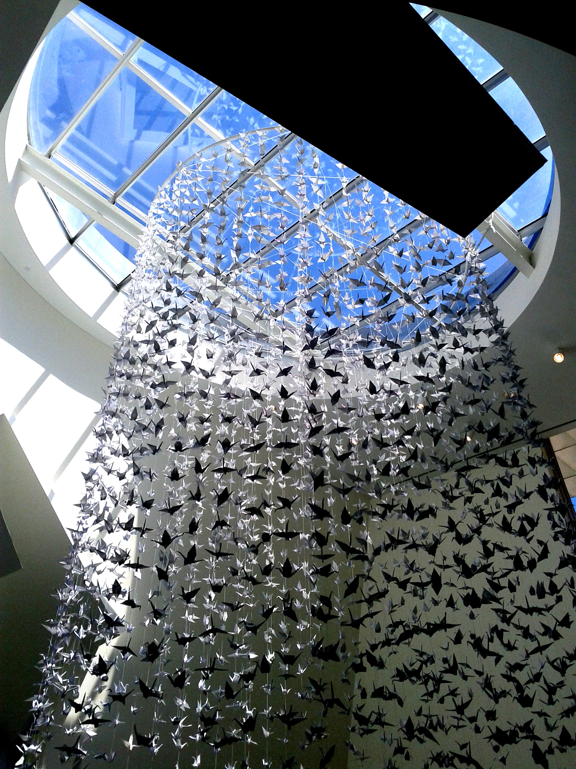 Spring on MIT campus | Gabrielle Trépanier-Jobin